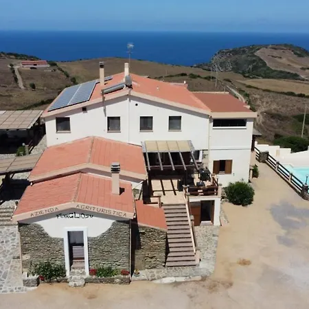 Finagliosu * Palmadula