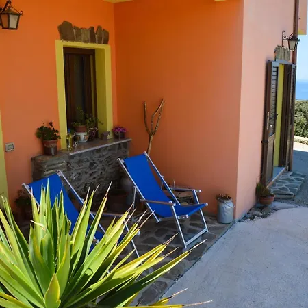 Finagliosu Alloggio per agriturismo Palmadula
