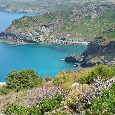 Finagliosu Alloggio per agriturismo Palmadula