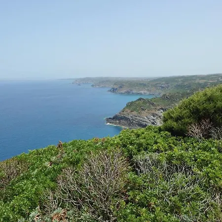 Finagliosu Alloggio per agriturismo Palmadula