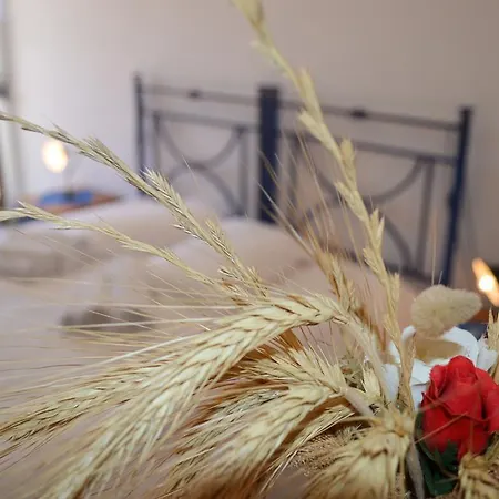 Finagliosu Alloggio per agriturismo *